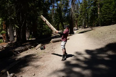 DSC_3753 (Large).JPG